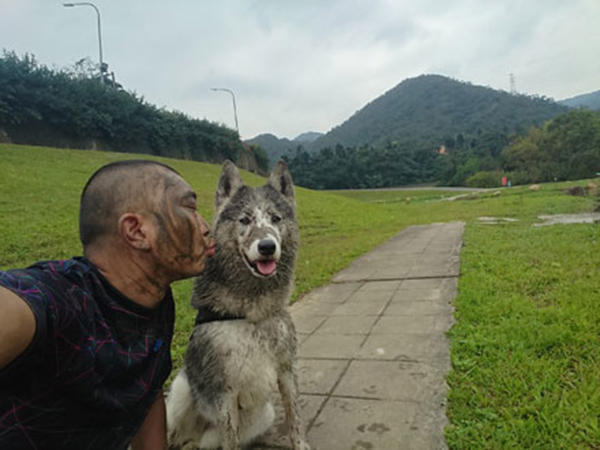 男主人怕哈士奇玩太髒被女主人教訓,拍了一組照片讓人哭笑不得