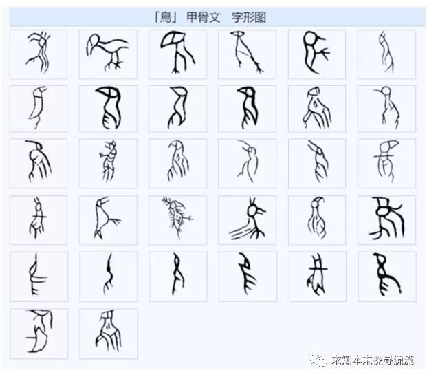 细说汉字(213):惊弓之鸟--说鸟(鸟)