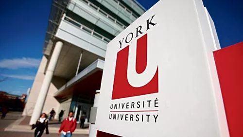 约克大学世界排名_才不是奢望呢!上预科也能去世界知名大厂