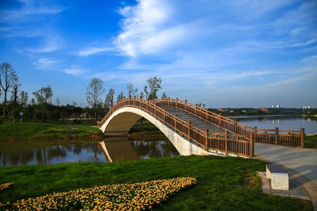 恒大·御景天下:万丰湖首届千人植树节 一起"森"呼吸