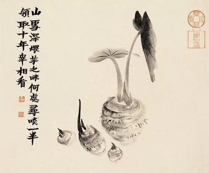 金农|一个不修边幅的书画家，一个才华横溢的旷世奇人