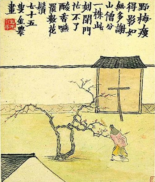 金农|一个不修边幅的书画家，一个才华横溢的旷世奇人
