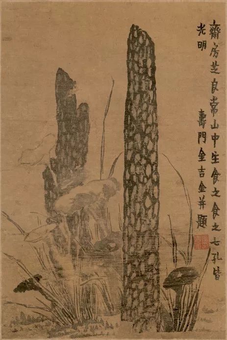 金农|一个不修边幅的书画家，一个才华横溢的旷世奇人