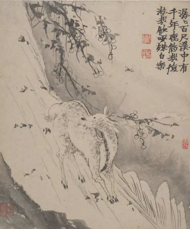 金农|一个不修边幅的书画家，一个才华横溢的旷世奇人