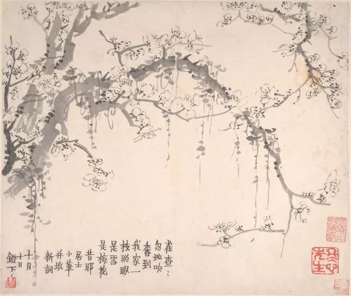 金农|一个不修边幅的书画家，一个才华横溢的旷世奇人