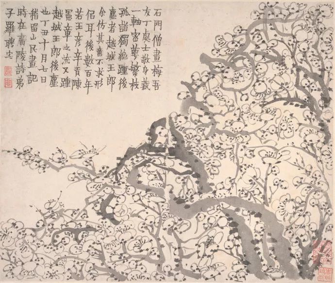 金农|一个不修边幅的书画家，一个才华横溢的旷世奇人