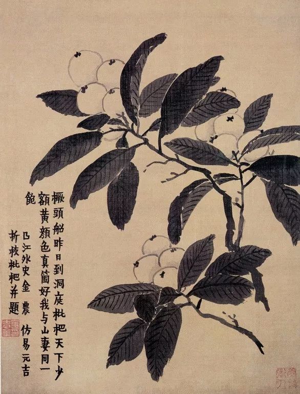 金农|一个不修边幅的书画家，一个才华横溢的旷世奇人