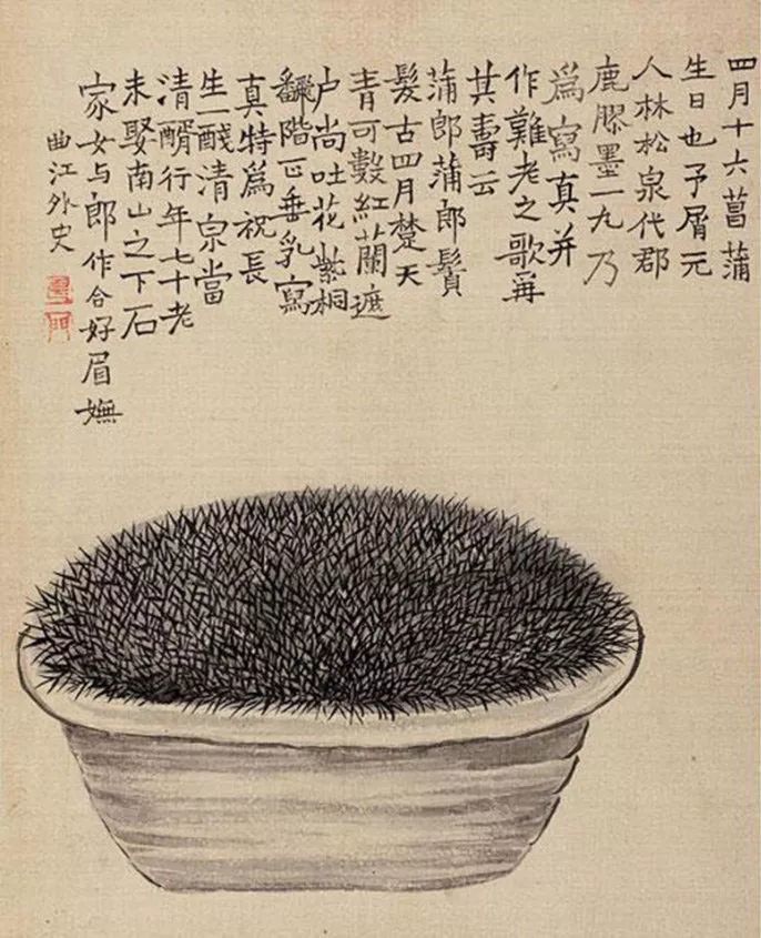 金农|一个不修边幅的书画家，一个才华横溢的旷世奇人