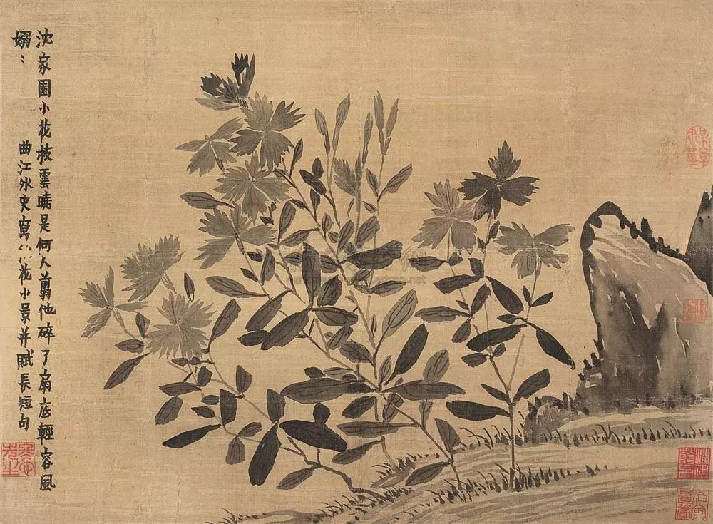 金农|一个不修边幅的书画家，一个才华横溢的旷世奇人