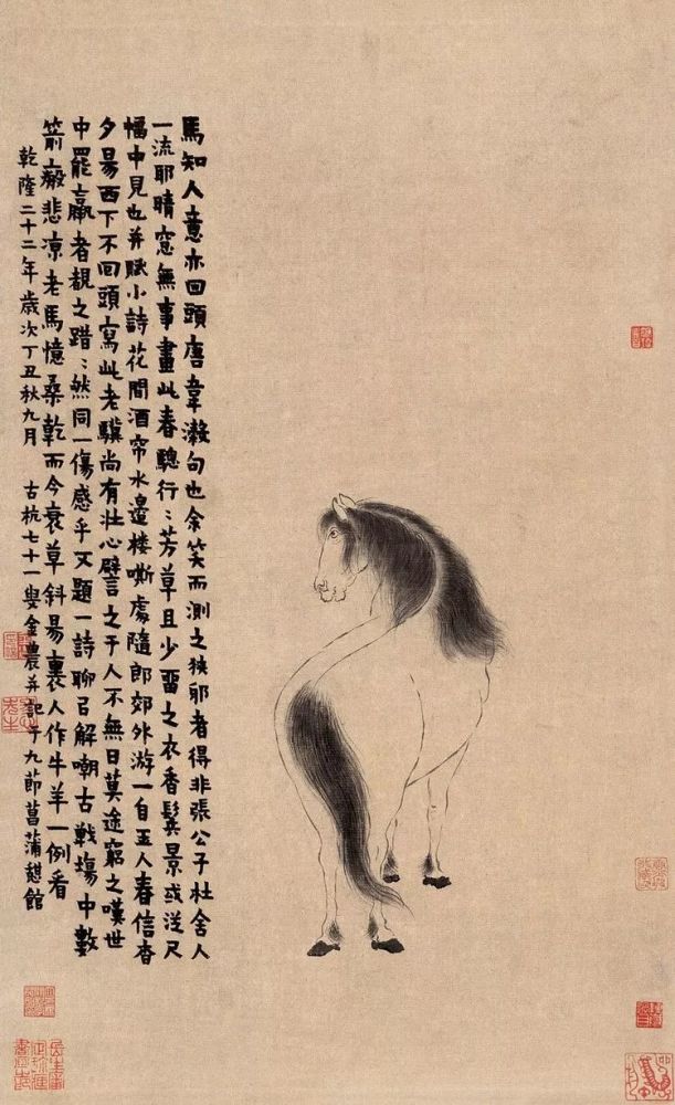 金农|一个不修边幅的书画家，一个才华横溢的旷世奇人