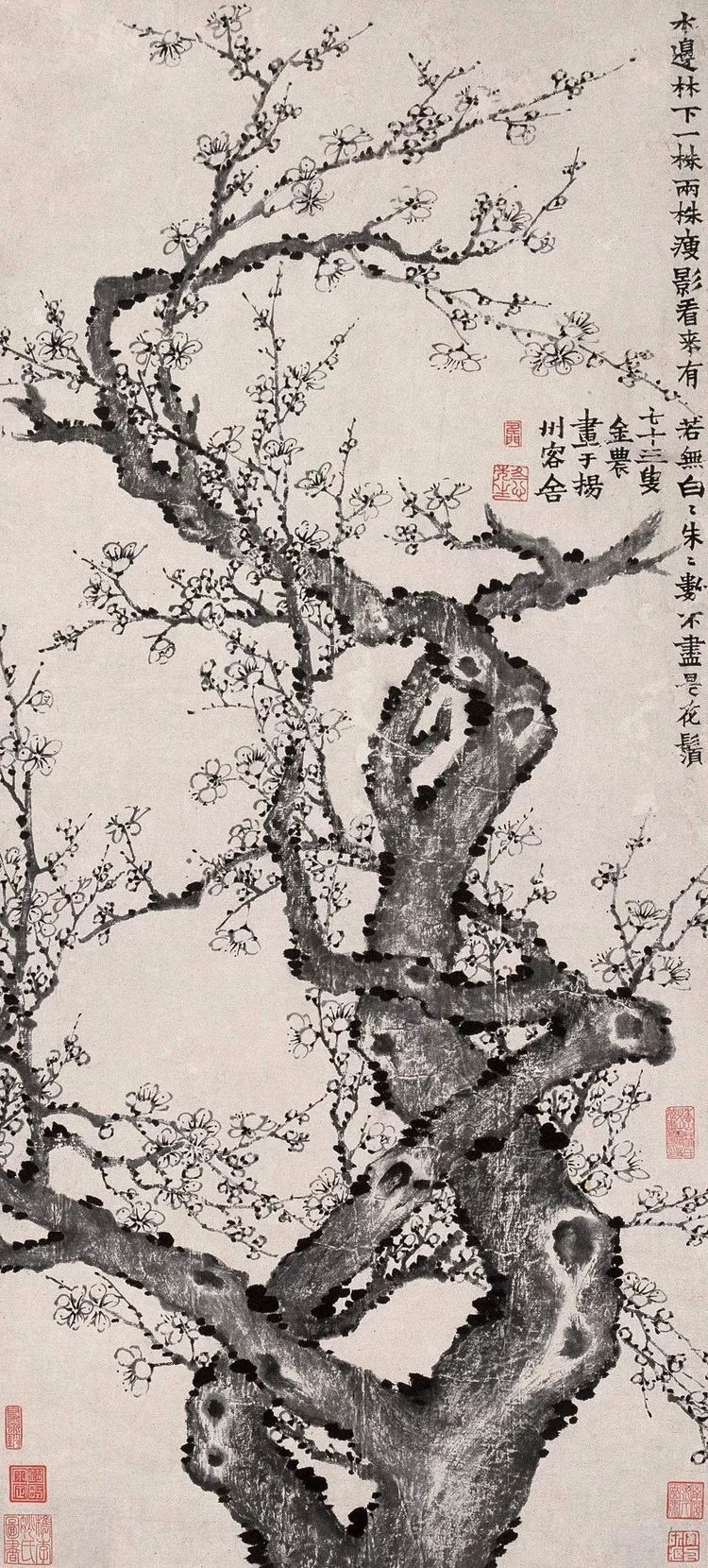 金农|一个不修边幅的书画家，一个才华横溢的旷世奇人