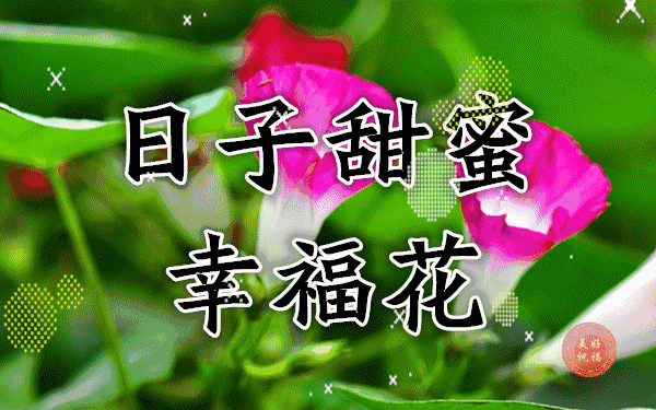 三八女神節來臨,祝天下女性節日快樂