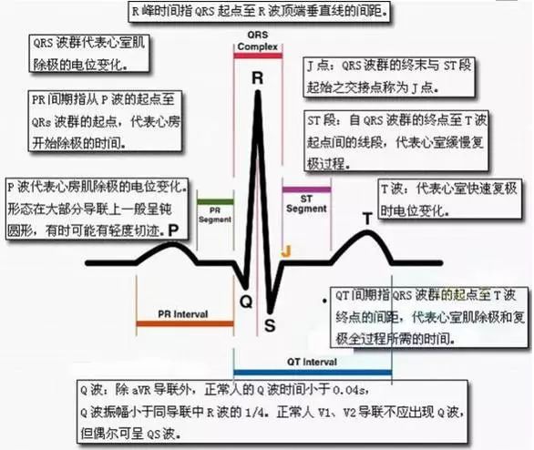 導聯的意義以上是標準12導聯標準導聯:Ⅰ,Ⅱ,Ⅲ(v1-v6接線按顏色順序