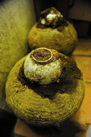 古代打仗,军队为何用黄金收购粪便?真相你可能