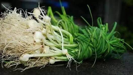 野菜|这几天，城里人都往农村跑！这是干啥呢？