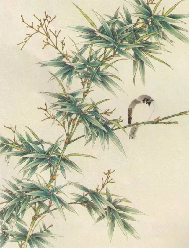 工笔竹子怎么画