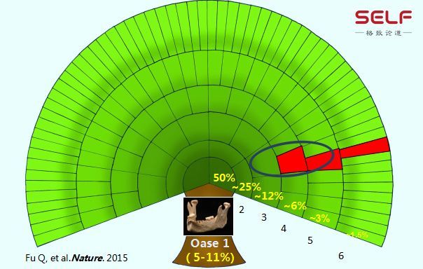 北非240万年前就有古人类,人类祖先的混血史有