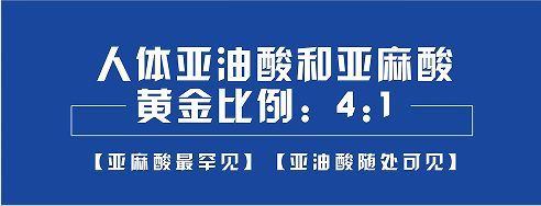 亚麻酸|“湖南日报”亚麻酸：人体最为重要的—种必需营养