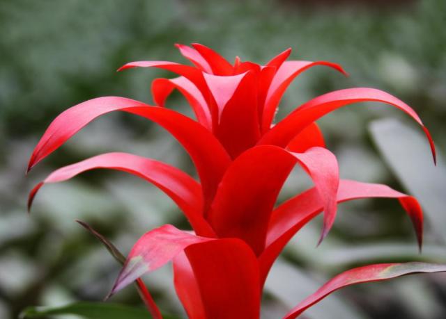 二月初二龙抬头,3生肖有财来,或中大奖,或者发横财,扬眉吐气!