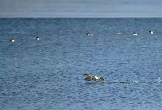 《民法总则》第76条:什么是营利法人?营利法人