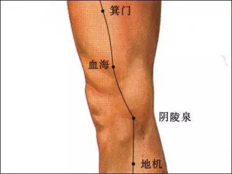 箕门穴小便不利遗尿腹股沟肿痛