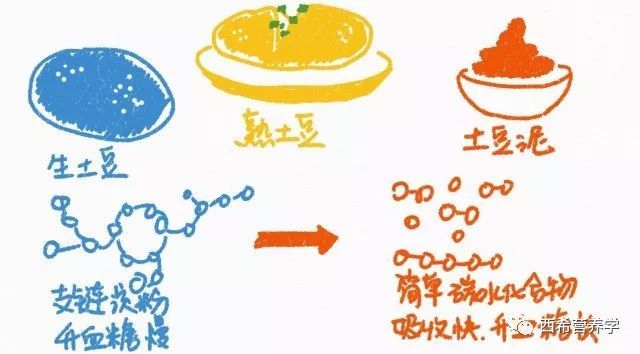 1卡路里=1卡路里?不要落入卡路里陷阱