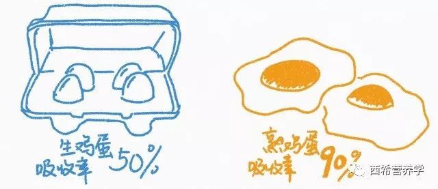 1卡路里=1卡路里?不要落入卡路里陷阱