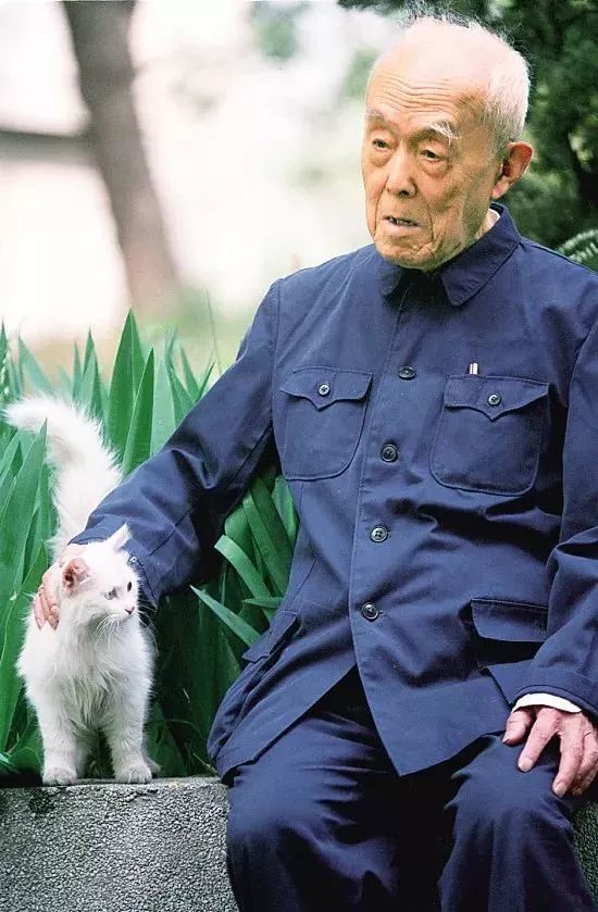季羡林|大收藏家季羡林：30元买了5幅齐白石，500元买苏东坡手迹