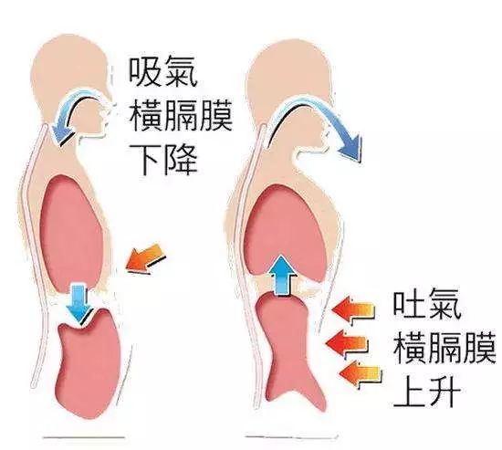 唱歌时的横膈膜是如何运动的 这个视频告诉你 腾讯新闻