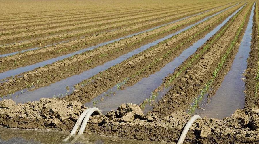 课外地理节水农业灌溉农业旱地农业有什么区别