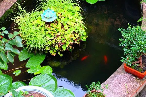 昨天我们去登太极亭,从太极亭八卦台看到予乐湾(太极村)的时候,发现