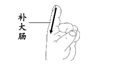食指桡侧位置图图片