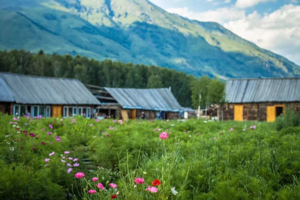 新疆|我亲身经历新疆，见到了别人不知道的真相