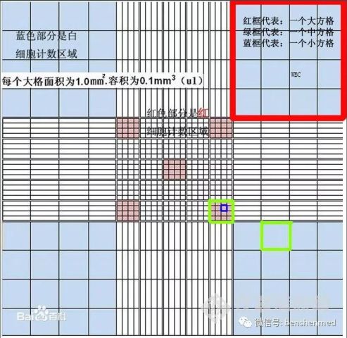 理解血细胞计数板的结构-秒算血细胞计数-腾讯网