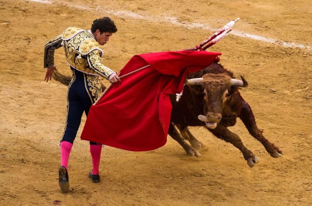 牛肉|牛，人见人爱敬业福～