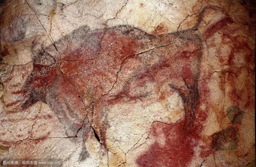 牛肉|牛，人见人爱敬业福～