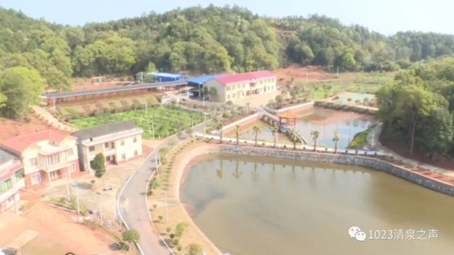相市乡践行乡村振兴战略 大力发展乡村旅游