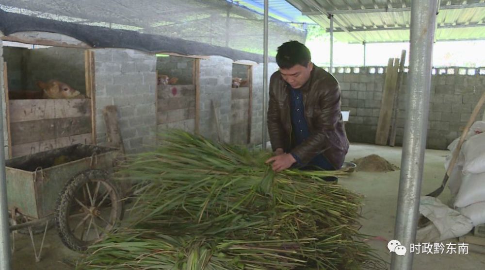 雷山:加快组组通建设步伐 带动产业发展促脱