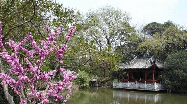 2020中国省份人口排名_中国常住人口最多的省份,江苏排名第五,第一名意料(2)