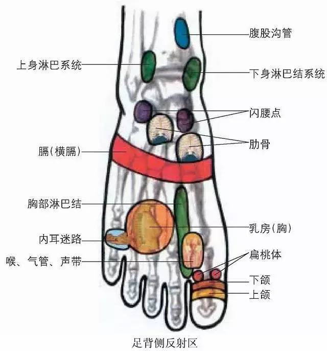 女人经常踩踩自己的脚不易得妇科问题