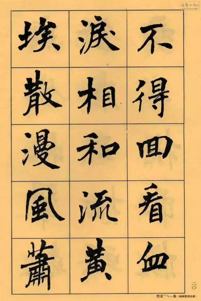 周慧珺|她年轻时写的字，更有味道！