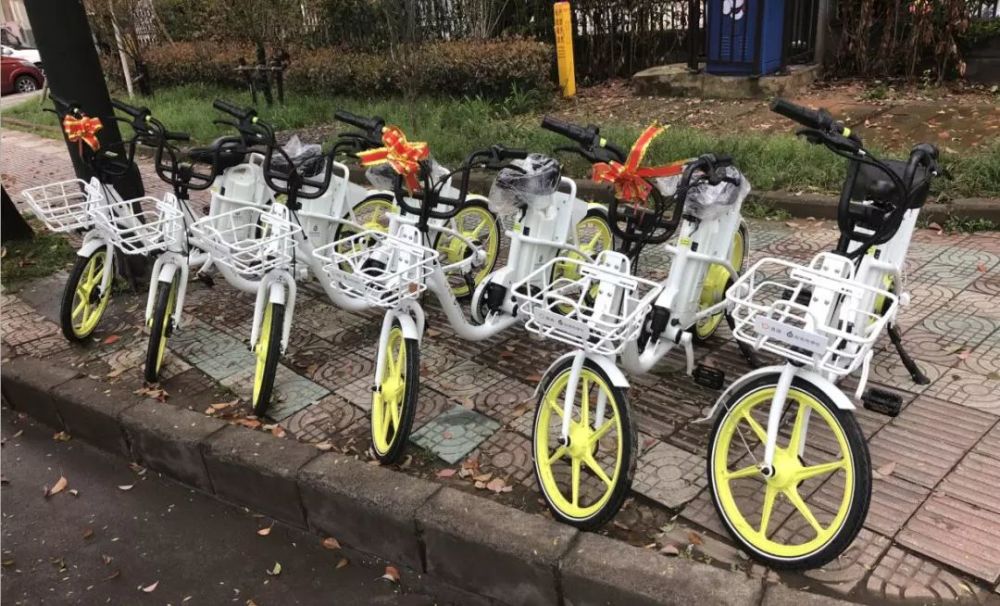 昙花一现!义乌街头的共享电单车不见了!原因竟