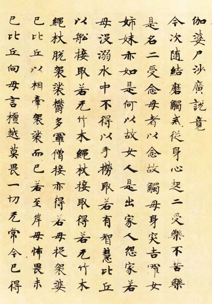 唐人|唐人写经，满纸风雅！