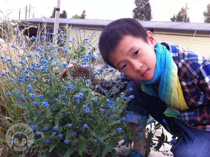 惨!绵阳10岁小孩过马路被撞 飞出10米远