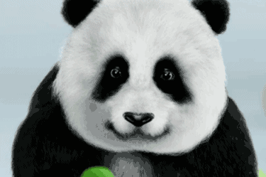 熊猫去掉黑眼圈照片图片