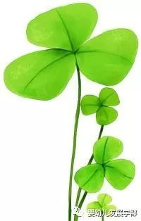 看《社工有点甜》MV│感觉宣讲义工越来越甜