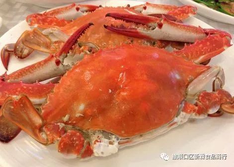 一年四季时令海鲜表