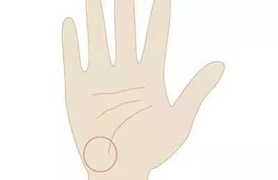 掌心六区之内分泌区:位置在小鱼际下方与腕横纹的上方,从这个部位能