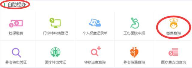 职工社保卡如何在网上查询个人账户明细、参保