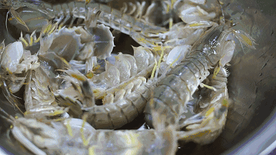 秦皇岛海鲜安全吗?